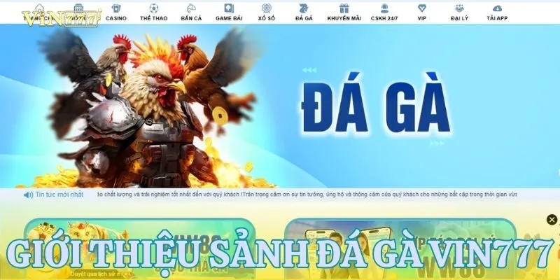 Giới thiệu sân chơi đá gà VIN777