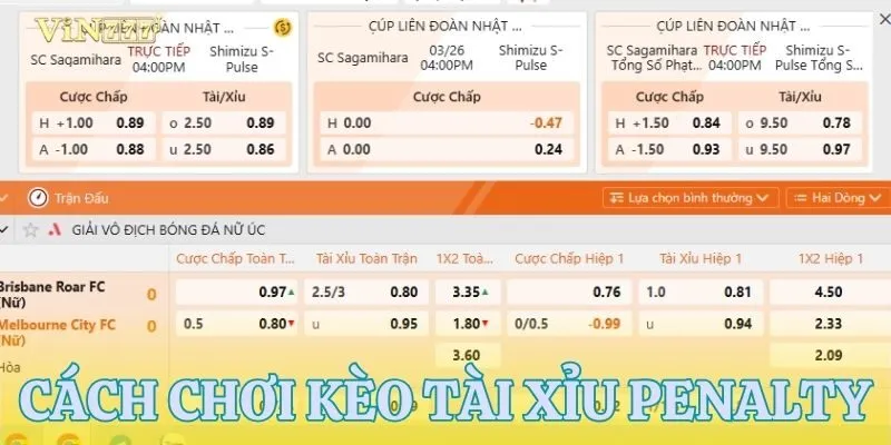 Hướng dẫn từ A-Z cho người mới bắt đầu