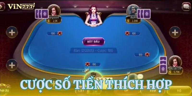 Mẹo đặt cược hợp lý trong khi chơi bài