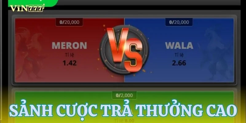Sảnh đá gà trả thưởng cao ngất