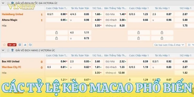Tìm hiểu các tỷ lệ chấp phổ biến trong kèo Macao