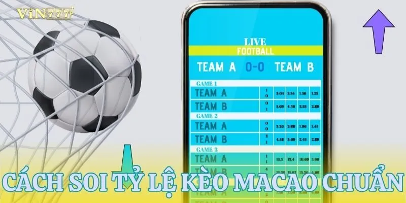 Tỷ lệ kèo Macao tài xỉu và cách soi kèo hiệu quả