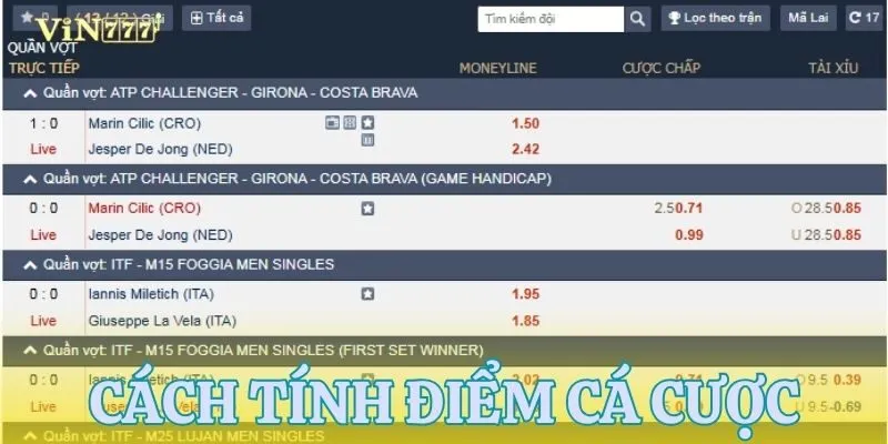 Hướng dẫn cách tính điểm quần vợt